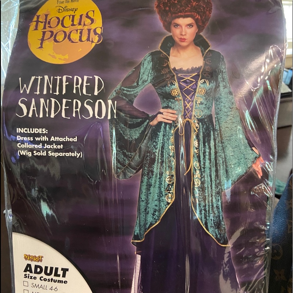 women’s Hocus Pocus Winnie Sanderson costume L